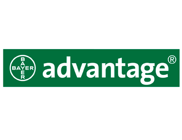 Advantage