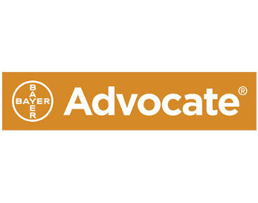 advocate