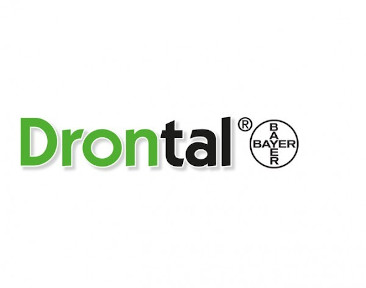 drontal