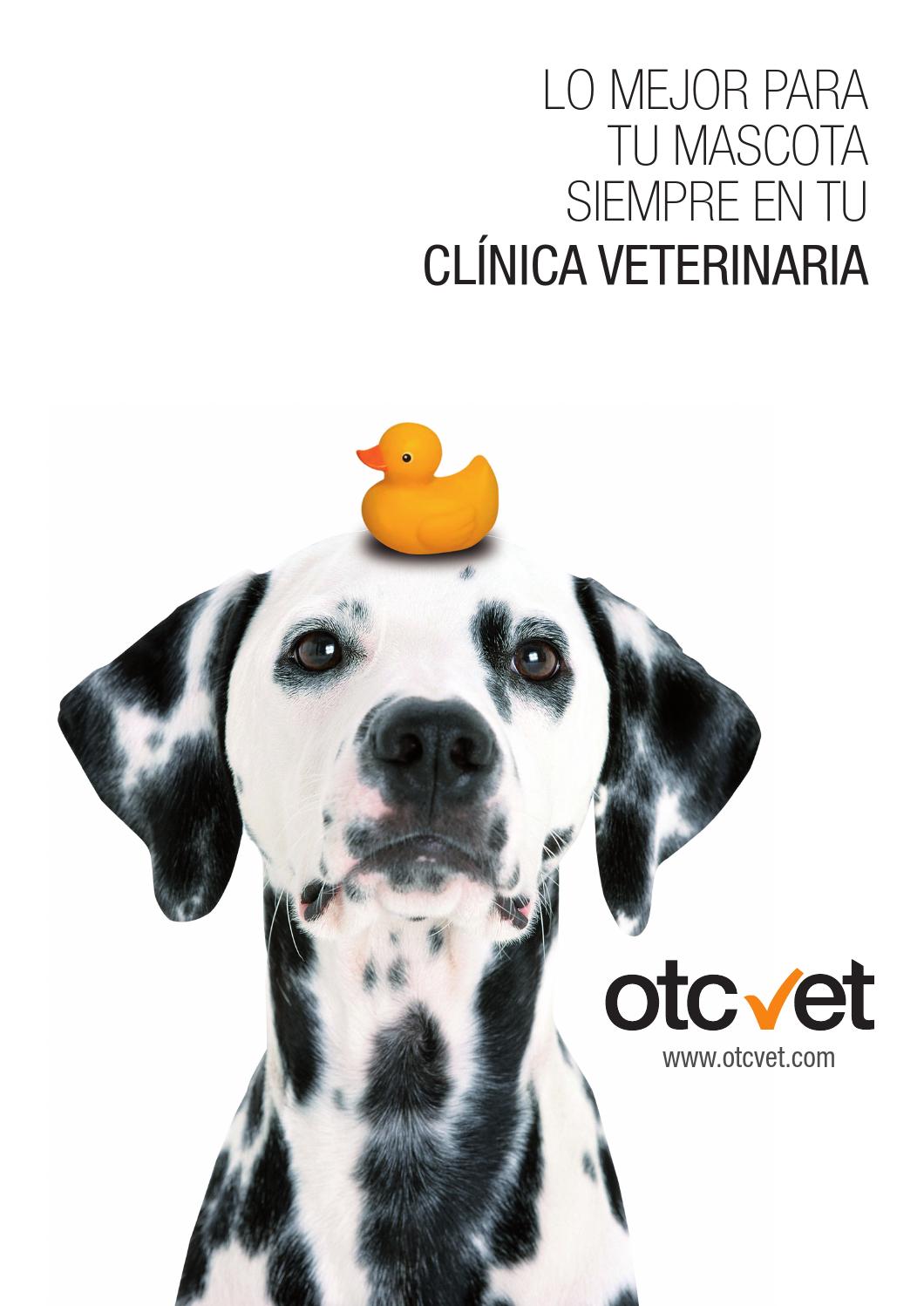 Otcvet