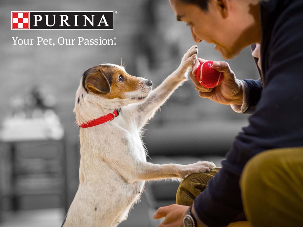 Purina